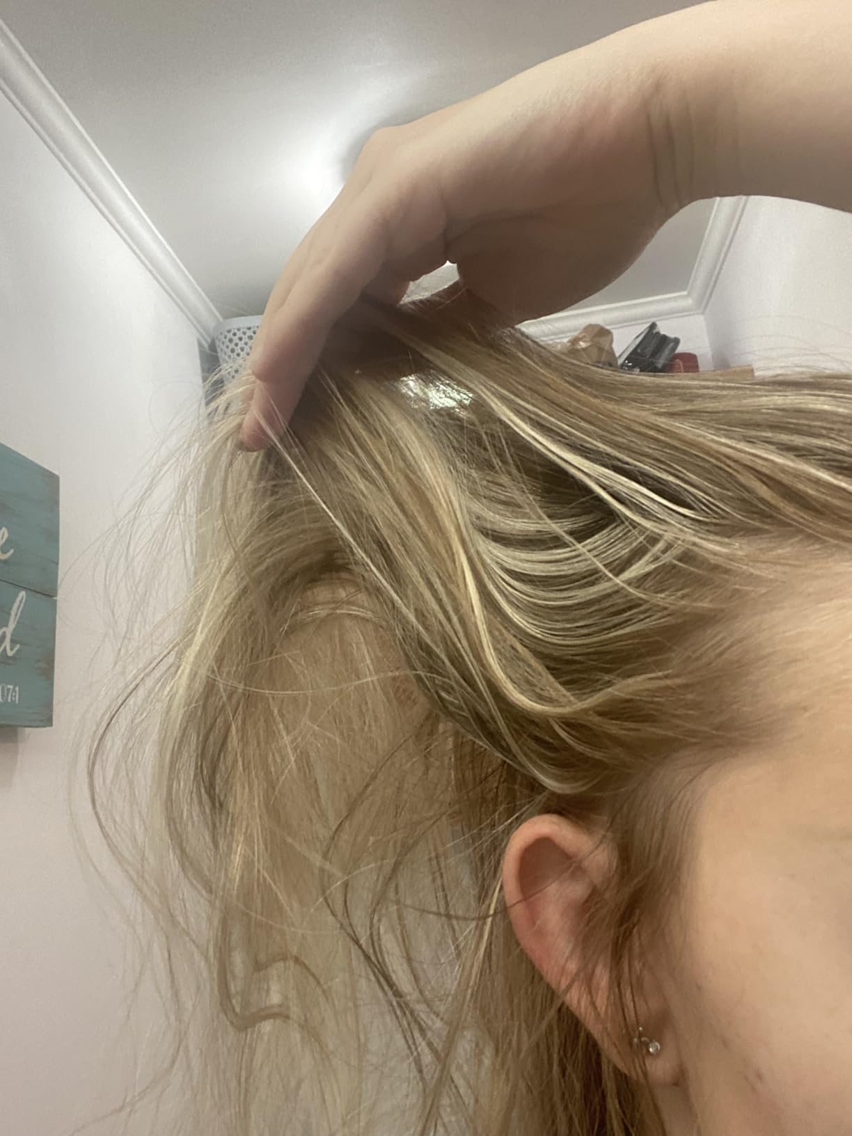 Dry Shampoo Powder | Non-Aerosol | Natural & Organic | Jumbo Size | Made in USA, No Benzene, Vegan, Cruelty Free, For All Hair Colors, Talc Free | Lavender Oil Scent | 1.6 Ounce-Sustainable Packaging customer photo 1