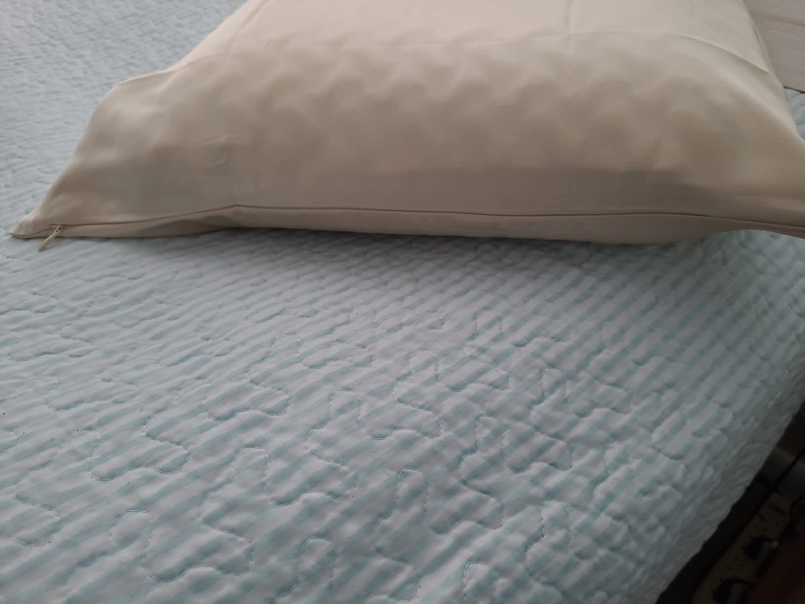 100% Mulberry Silk Pillowcase for Hair and Skin, 22 Momme Pure Natural Silk Pillow Case Both Sided with Zipper, Pillow Cover for Women Mom Men (White, Standard 20''x26'', 1 Pack) customer photo 1