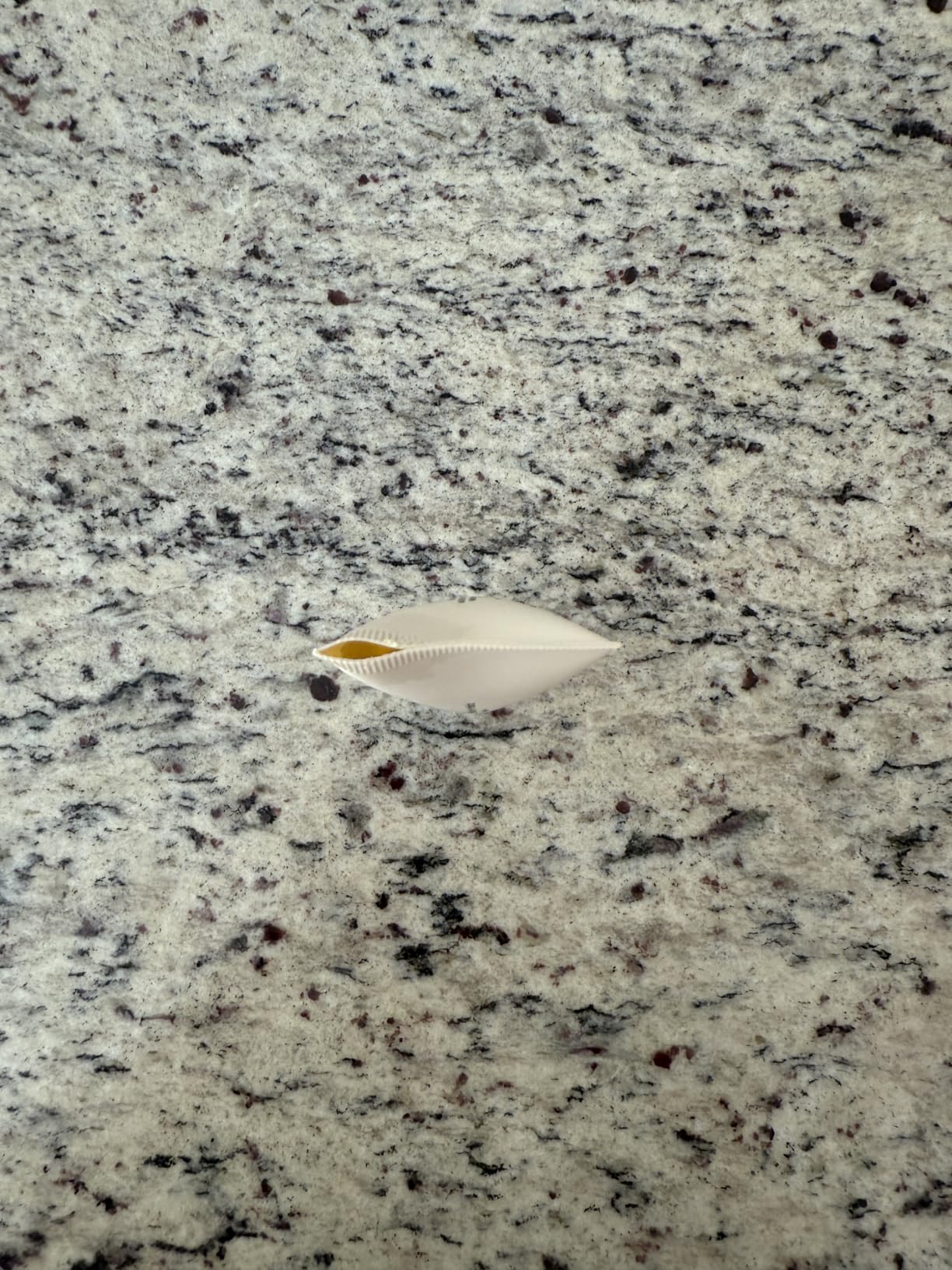Relief Sun Organic Korean sunscreen SPF50+ PA++++ Riceand Probiotics | Korean Skin Care Solution for All Skin customer photo 1